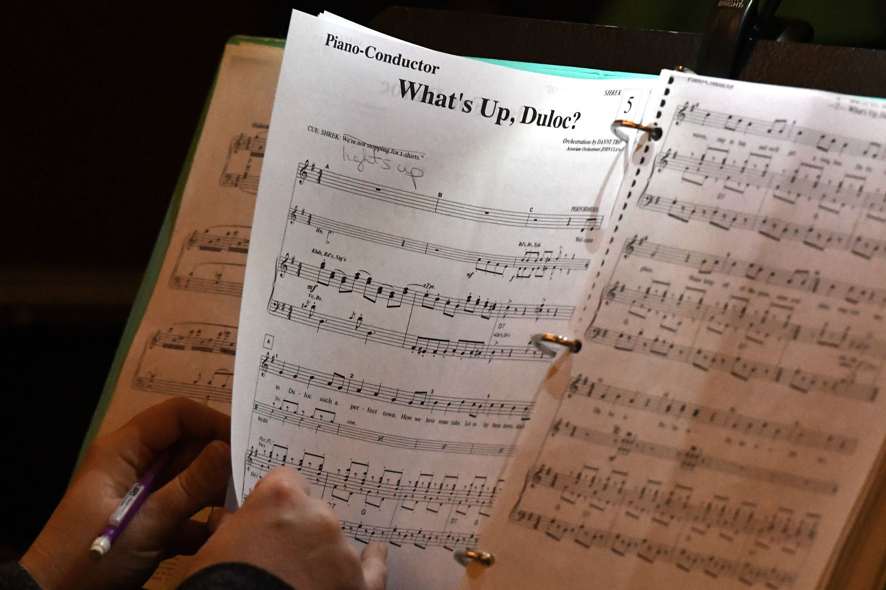 'Shrek the Musical' rehearsals 24